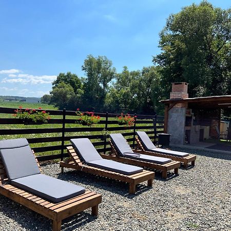 Casa Cu Flori Maramures Baia Mare Luaran gambar