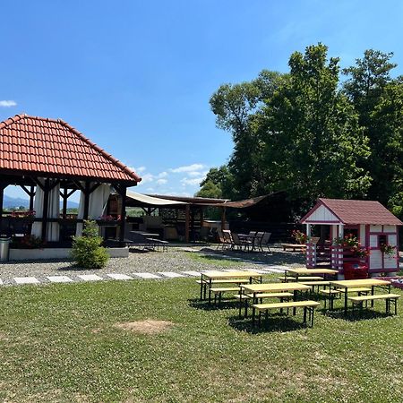 Casa Cu Flori Maramures Baia Mare Luaran gambar