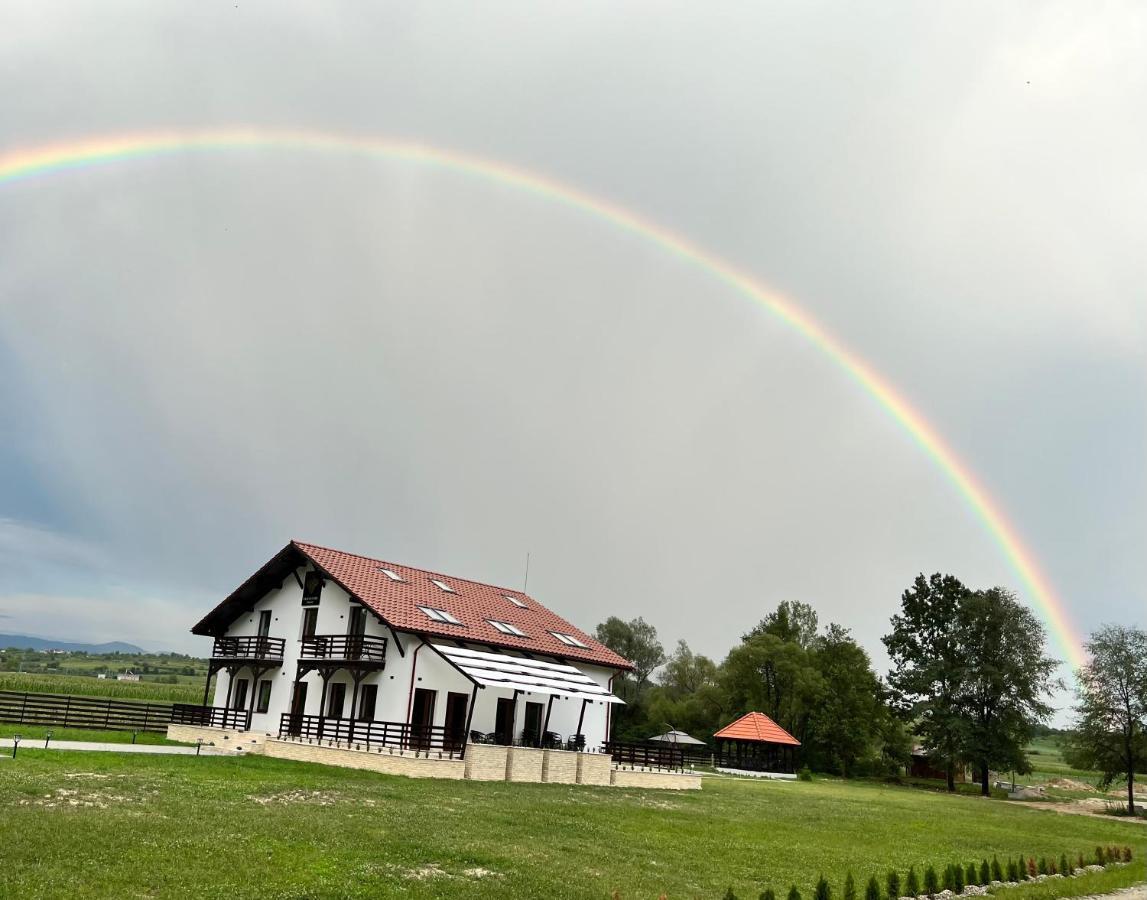 Casa Cu Flori Maramures Baia Mare Luaran gambar