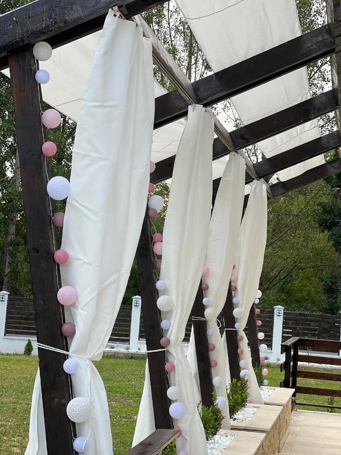 Casa Cu Flori Maramures Baia Mare Luaran gambar