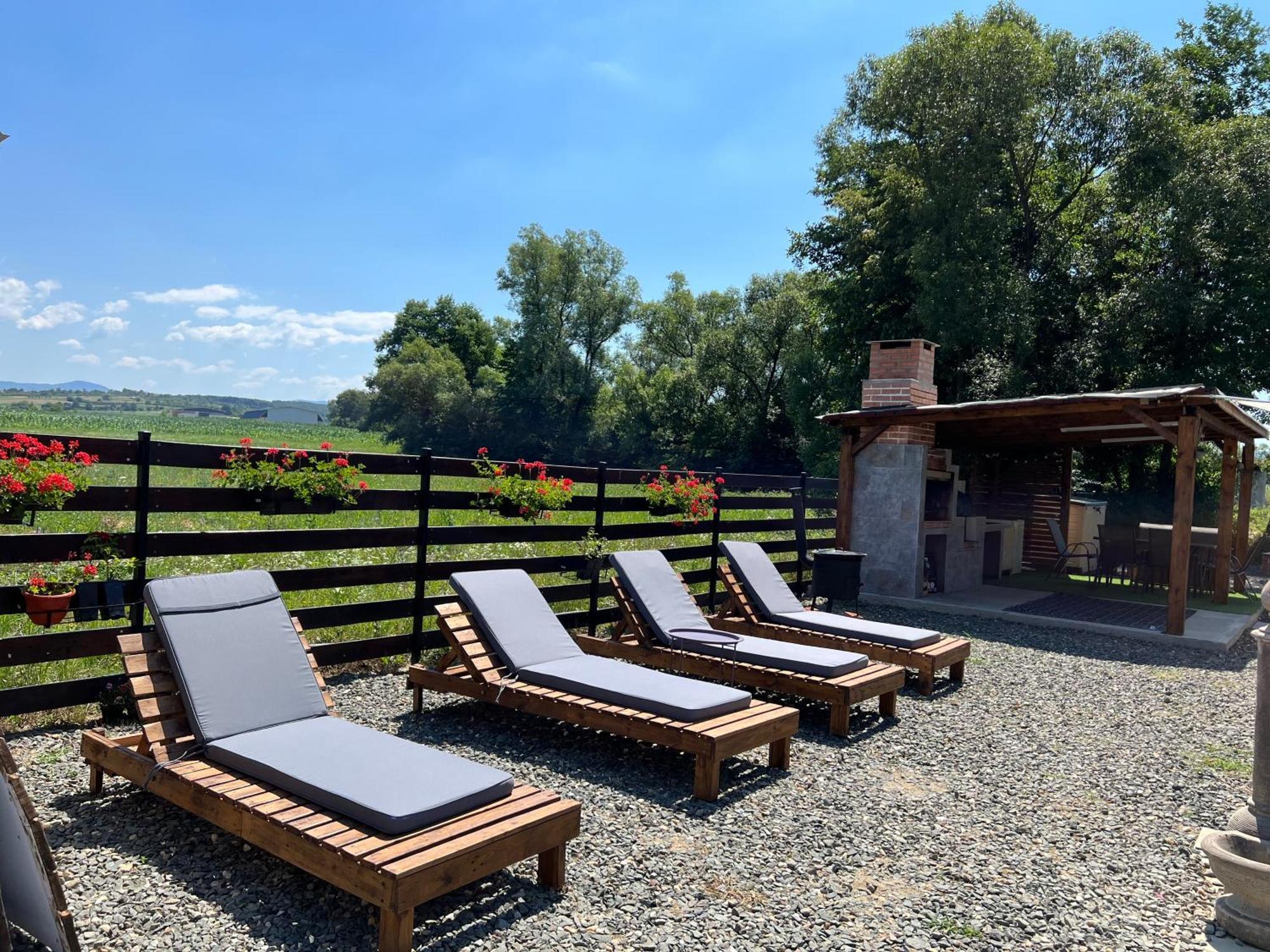 Casa Cu Flori Maramures Baia Mare Luaran gambar