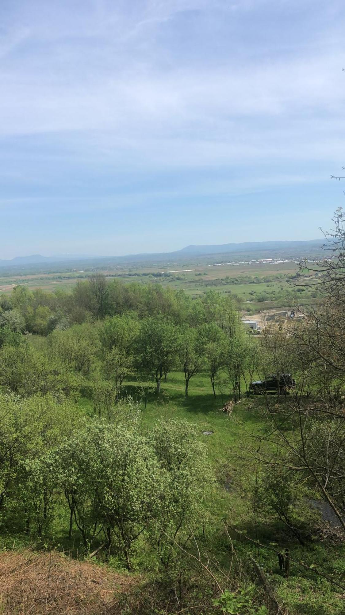 Casa Cu Flori Maramures Baia Mare Luaran gambar